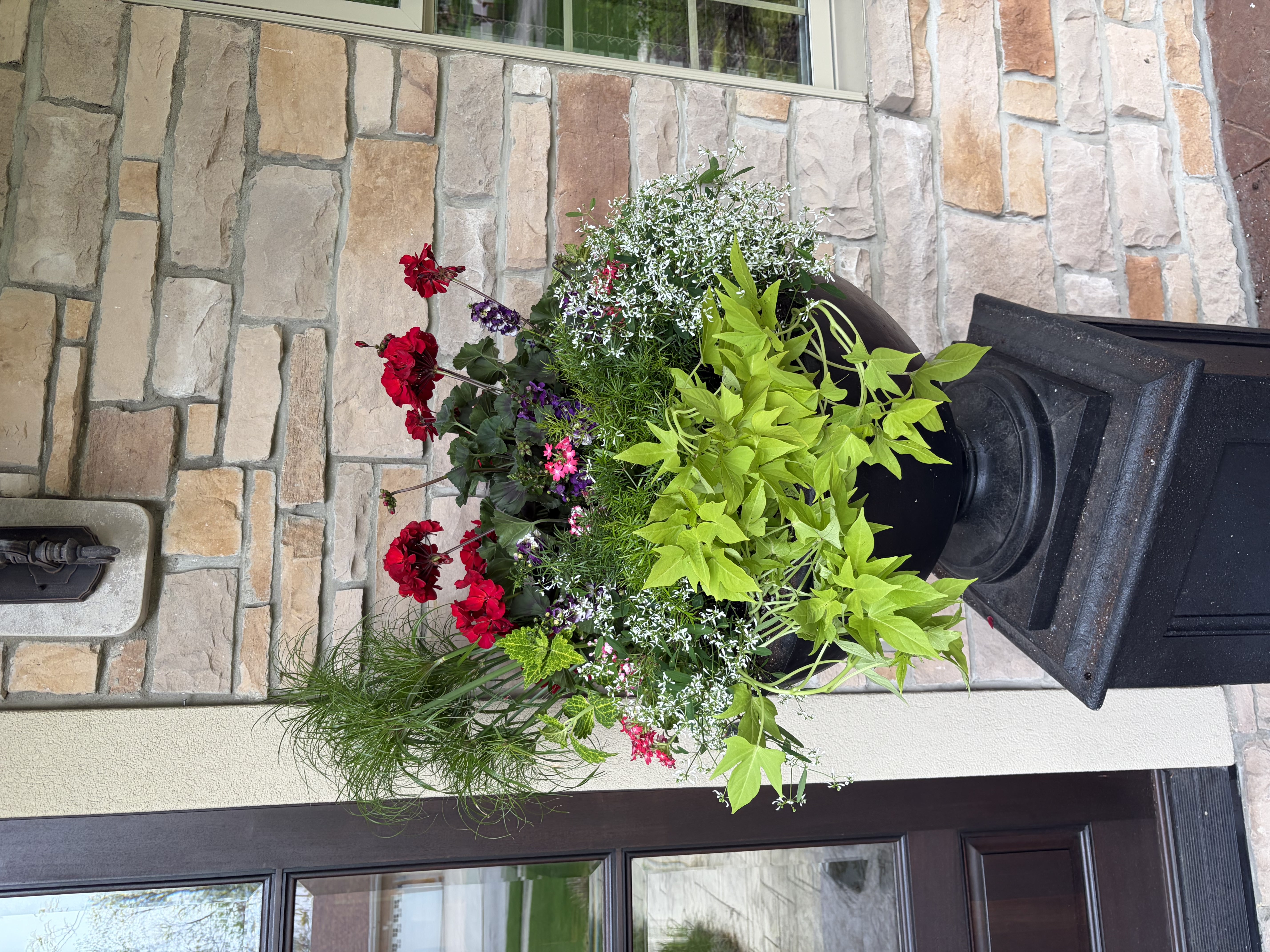 Seasonal planter arrangement